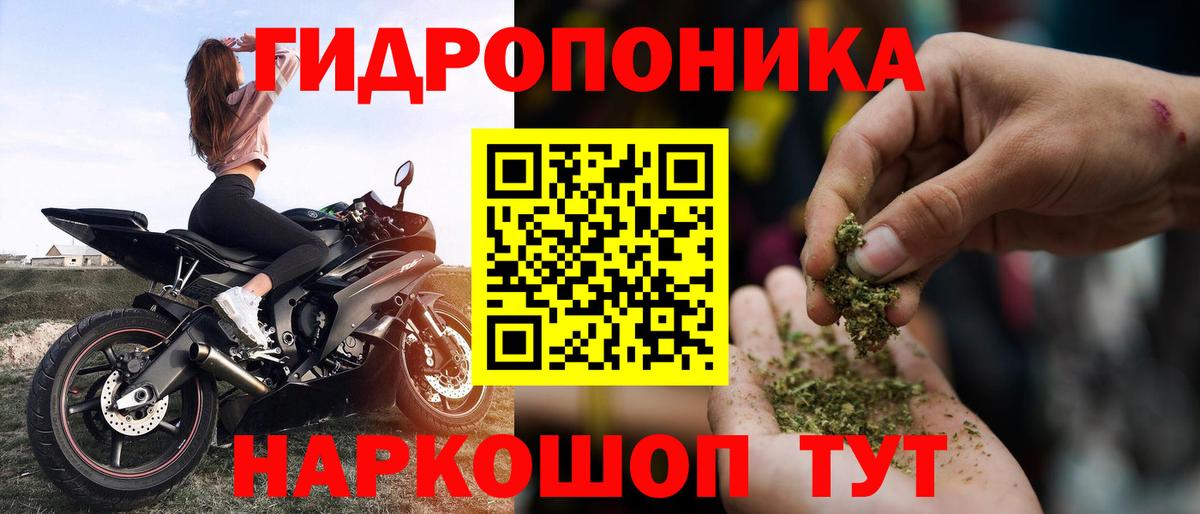 Канабис ГИДРОПОН Казань
